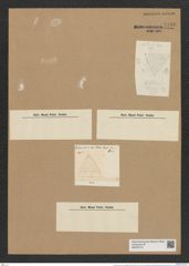 Triceratium favus var. spinigerum Cleve (de-Toni-Nr.: Genus 140, Species 3706) Zeichnungen Sammlung Grunow Nr. 7190 (NHMW-BOT-W0376173)